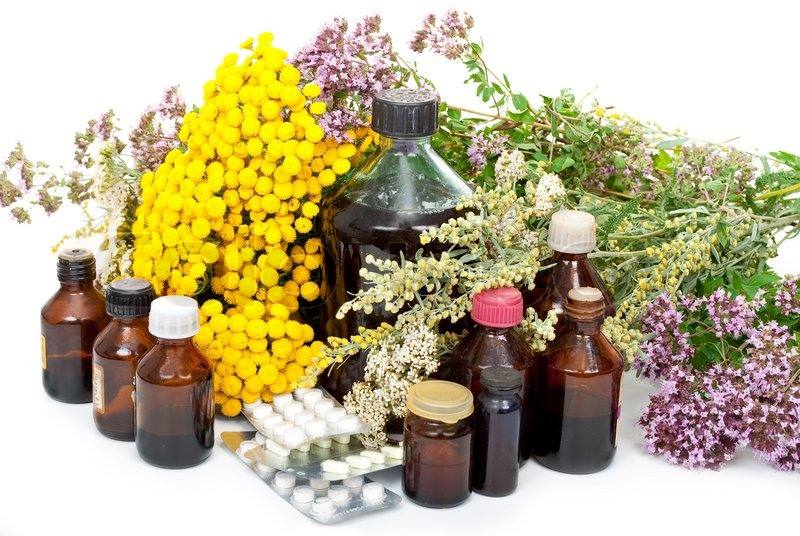 Лечебное действие лекарств из растений - Лекарственные растения | Дикий .