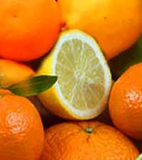 цитрусовые, citrus